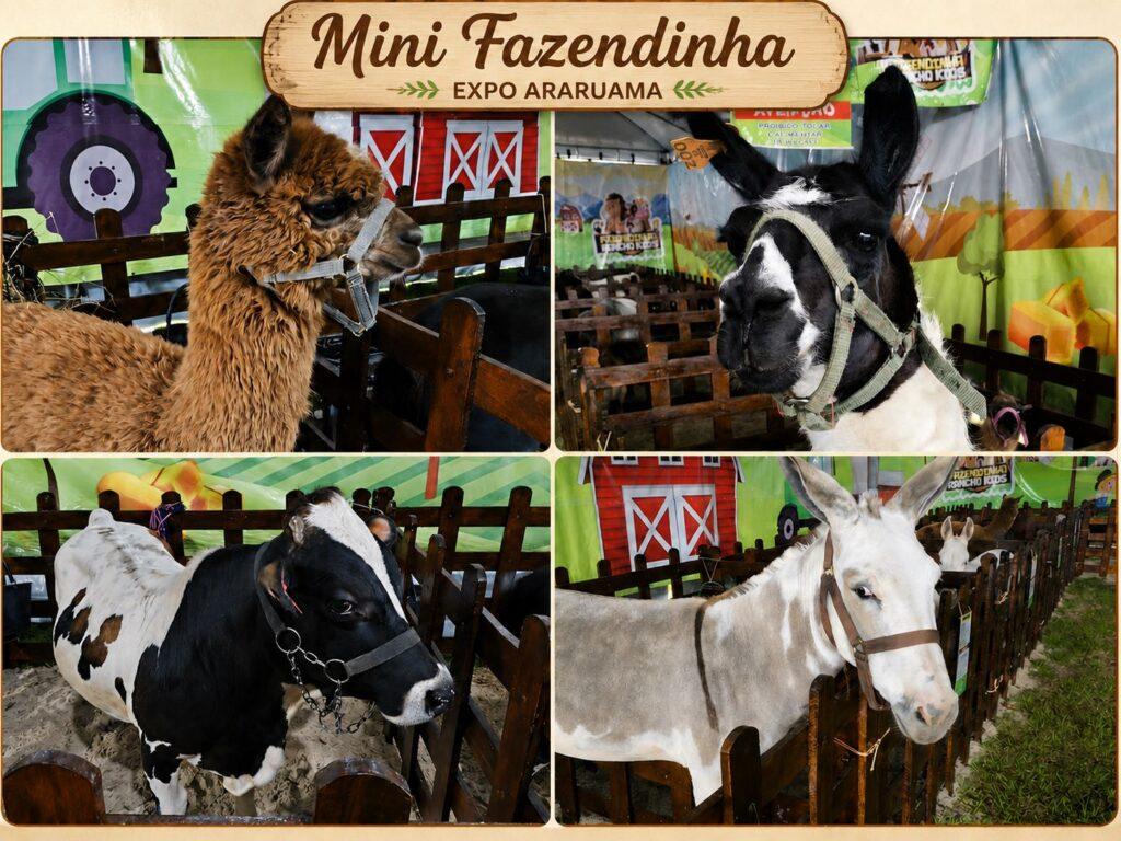 Mini-Fazendinha-expo-araruama-parque-de-exposicao-1024x768 Expo Araruama 2026: programação completa, shows, horários e atrações